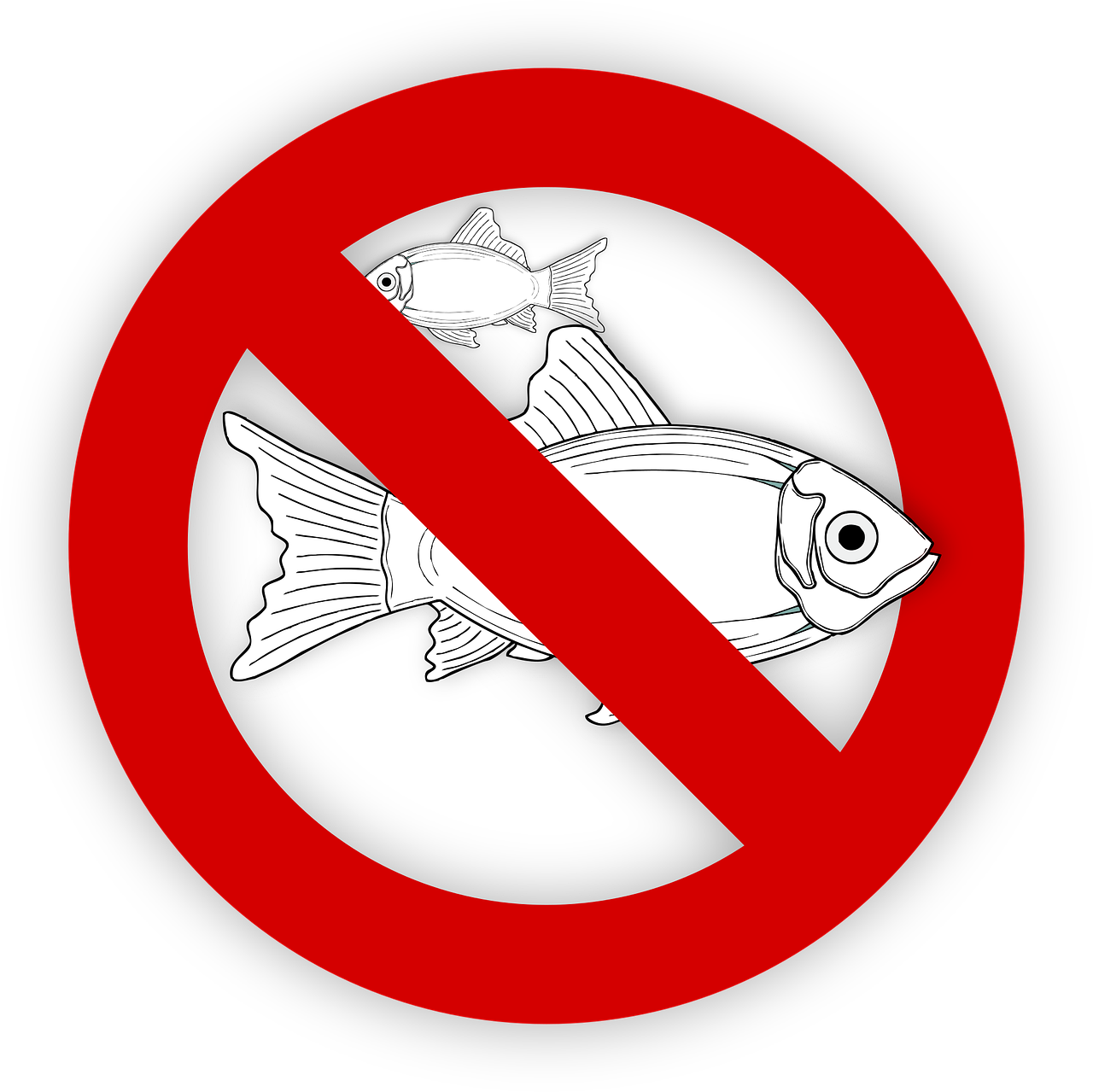 pixabay-995050-52.png